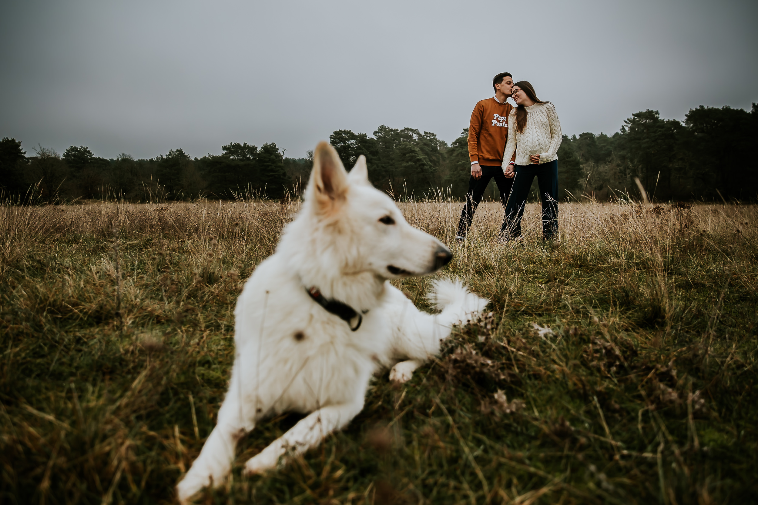 seance photo maternité grossesse en foret avec chien foret fontainebleau